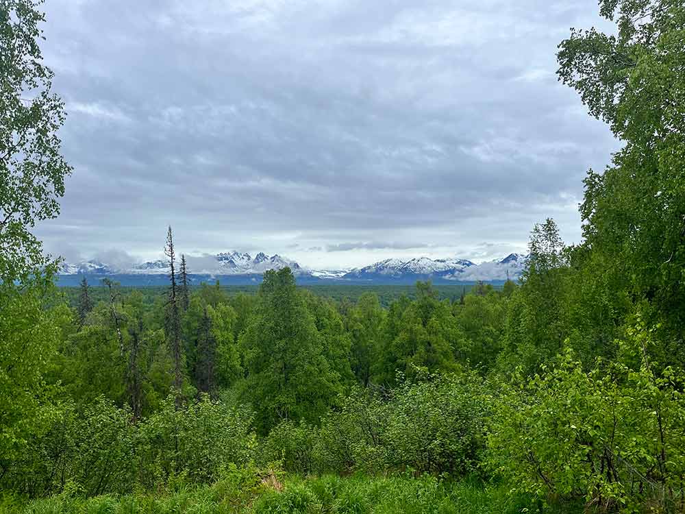 Nestled in the heart of south-central Alaska, Denali State Park is a vast wilderness reserve known for its breathtaking mountain views, pristine lakes, and rugged trails.