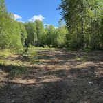 Talkeetna RV Pad for rent
